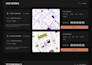 do frontend web development react tailwind html CSS js